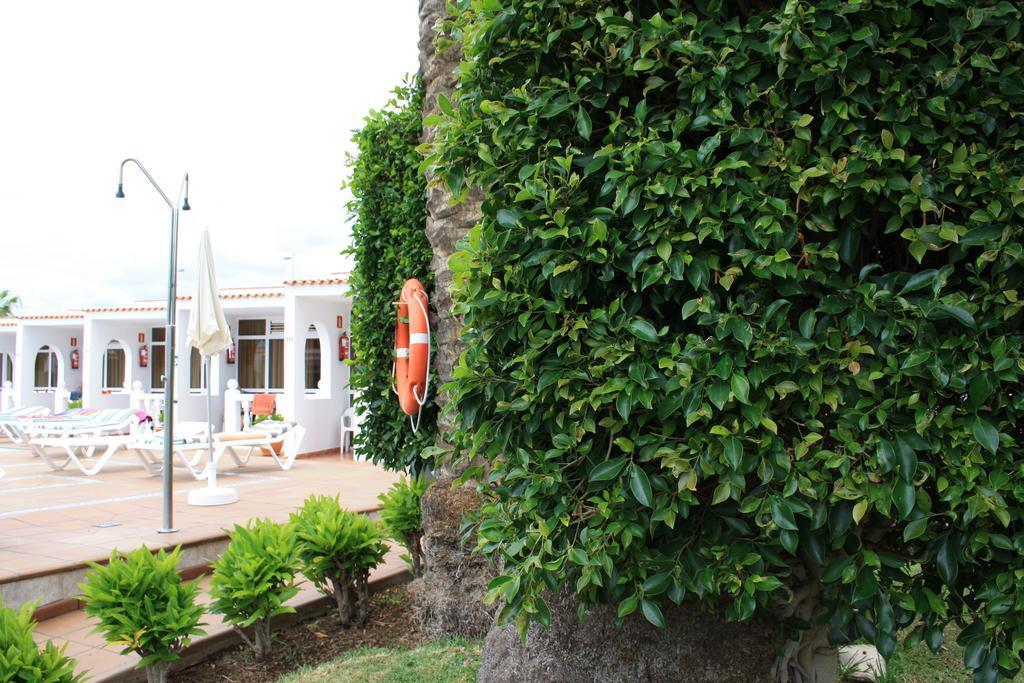 Alsol Todoque - Adults Only Apartment Playa del Ingles (Gran Canaria)